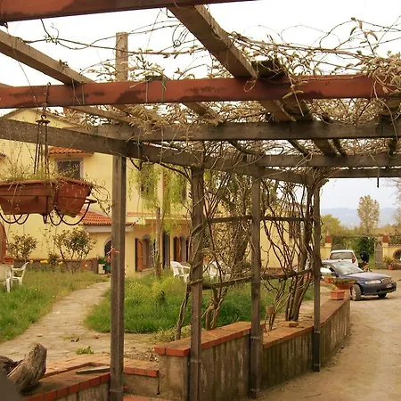 Umbria Di Design Ficulle
